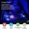 Aqua Tranquil - Luce Notturna Turtle Blau
