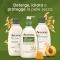Daily Moisturising Albicocca & Miele - Bagno Doccia Allo Yogurt 300 ml