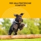 Scalibor Protector Band - Collare antiparassitario per cani misura 65 cm