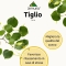 Tiglio Estratto Totale 30 ml - Integratore Per Lo Stress Ed Il Sonno