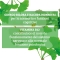 Colours Of Life Optima  Naturals Ginkgo Biloba Plus 60 Compresse - Integratore Per La Memoria
