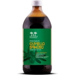 Salugea Succo di Olivello Spinoso 500 ml - Integratore immunostimolante