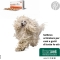 Glupacur 30 compresse - Mangime supplementare per cani e gatti