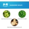Relaxigen Pet Mini 20 compresse - Integratore per cani e gatti