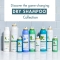 shampoo secco detox alla menta acquatica bio 150 ml
