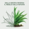 Salviette Micellari struccanti con Aloe Vera - 20 salviettine