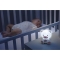 Chicco First Dreams Dreamlight - Luce Notturna Musicale colore Rosa