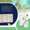 Omegor Veg 60 Capsule - Integratore Per La Funzione Cerebrale