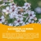 Optima Naturals Manuka Benefit 5 ml - Olio Essenziale