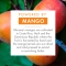 Olio al mango per capelli secchi 100 ml
