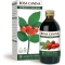 Rosa Canina Estratto Integrale 200 ml - Integratore Per Il Sistema Immunitario