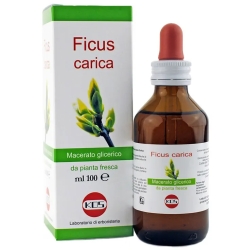 Kos Ficus Carica Macerato Glicerico 100 ml - Integratore Per La Funzione Digestiva
