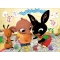 Maxipuzzle double-face 24 Pezzi Bing