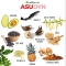 Asudyn 60 Compresse mangime complementare per cani e gatti