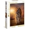 Tiger puzzle per adulti da 1500 pezzi