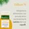 Triben M 60 Capsule Vegetali Integratore Per I Capelli Maschili