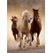 Running Horses Puzzle Per Adulti Da 1000 Pezzi