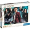 Harry Potter Puzzle Per Adulti Da 1000 Pezzi