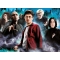 Harry Potter Puzzle Per Adulti Da 1000 Pezzi