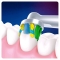 ORAL B FlossAction - 3 testine di ricambio