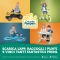 PAMPERS Il costumino - 11 pannolini da mare taglia 4 (8-15 kg)