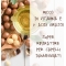 Fisio Shampoo riparatore con olio di Macadamia 200 ml