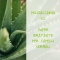 Balsamo per capelli secchi con aloe 200 ml