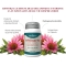 Echinacea 60 Capsule - Integratore Immunostimolante