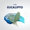 GILLETTE Series - Gel Da Barba Rinfrescante Con Eucalipto 200 ml
