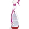 CHANTECLAIR WC schiumattiva - Detergente spray a base di candeggina 625 ml