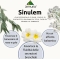 Andres Sinulem 100 ml - Integratore Per Le Vie Respiratorie