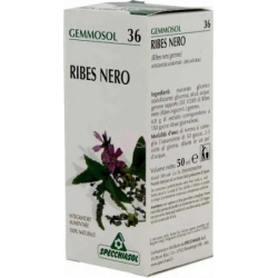 Specchiasol Gemmosol 36 Ribes Nigrum 100 ml - Integratore Per Le Vie Respiratorie