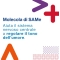 Samefast React 20 Bustine - Integratore Per La Menopausa