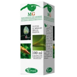 Betula Verrucosa Macerato Glicerinato Gocce 100 ml - Integratore Per Il Colesterolo