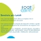 Master Aid Footcare - 2 Separatori Per Alluce - Taglia L