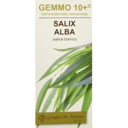 G10+ Salice 100 ml - Integratore Per Il Sistema Nervoso