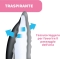 Chicco 60 Coppette Assorbilatte Antibatteriche Nere