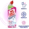 WC NET Candeggina Profumata Gel 700 ml