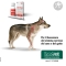 Alevica Liquid 100 ml - mangime complementare per cani e gatti