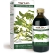 Vischio Estratto Integrale Analcolico 200 ml - Integratore Per Il Colesterolo