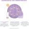 FOREO Luna 3 Plus - Dispositivo Per Termoterapia Per Pelli Sensibili