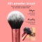 Powder Brush - Pennello Per Polveri N. 201