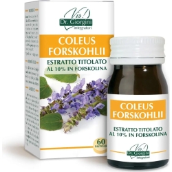 Coleus Forskohlii Estratto Titolato 60 Pastiglie - integratore acceleratore del metabolismo