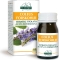 Coleus Forskohlii Estratto Titolato 60 Pastiglie - integratore acceleratore del metabolismo