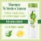 SUNSILK Ricarica Naturale Tè Verde E Limone - Shampoo Per Capelli Grassi 250 Ml