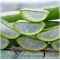 Aloe Vera - Bagnodoccia Idratante 500 ml