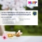 Hipp Shampoo con balsamo per pelli sensibili 200 ml