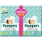 Pampers Baby Dry, Taglia 6, 15-30 kg - Confezione 34 Pannolini