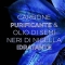 Garnier Ultra Dolce, Shampoo Carbone Magnetico, 250 ml