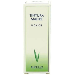Cynara Scolymus 30 ml - Tintura madre